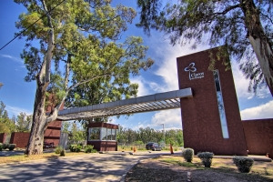 claros-del-bosque-etapa-3-a-estrenar-recibo-menor